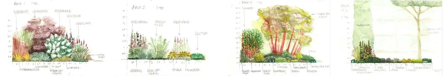 Four hand-painted watercolour planting sections for Tyndall Stone Lodge, areas one through five, side by side